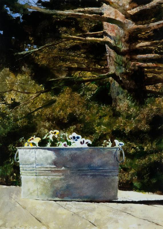 2010.9.18 Galvanized Pansies-J.Wyeth.tif