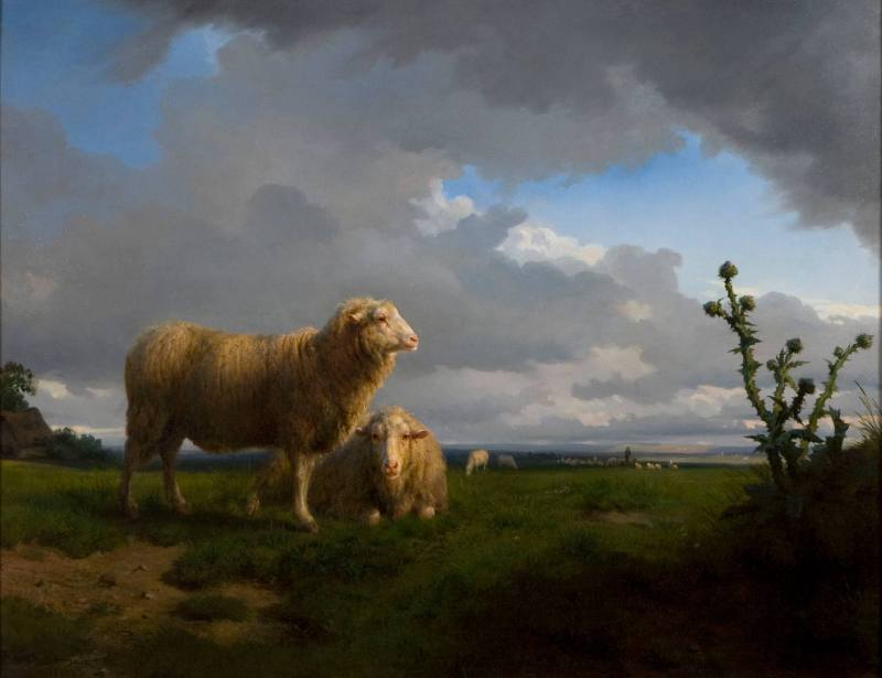 Meadow and Sheep – Works – Philbrook Museum of Art